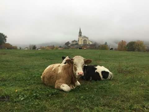 Le Teggie Lägenhet Sestola Exteriör bild